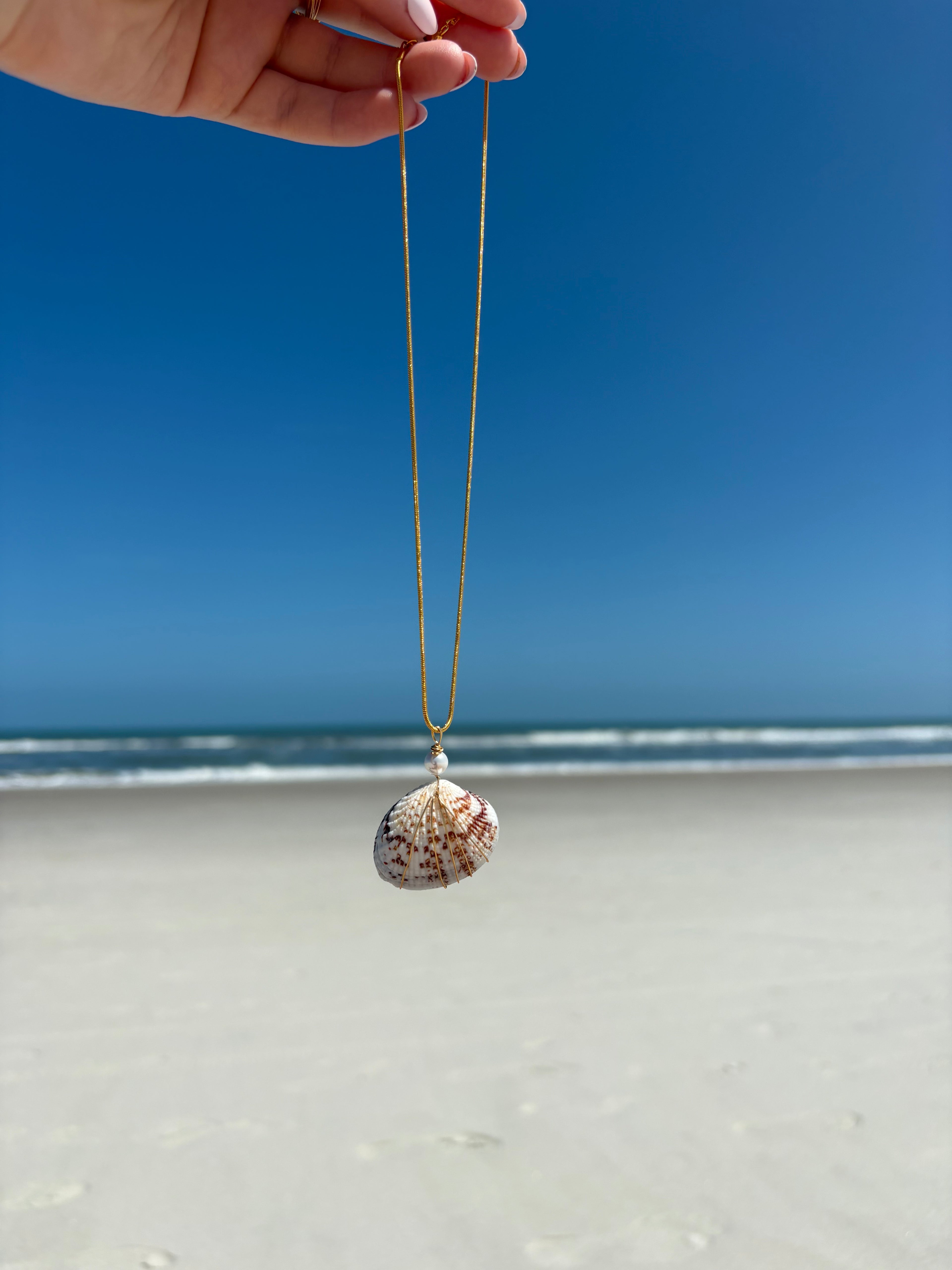 Isla Shell Necklace