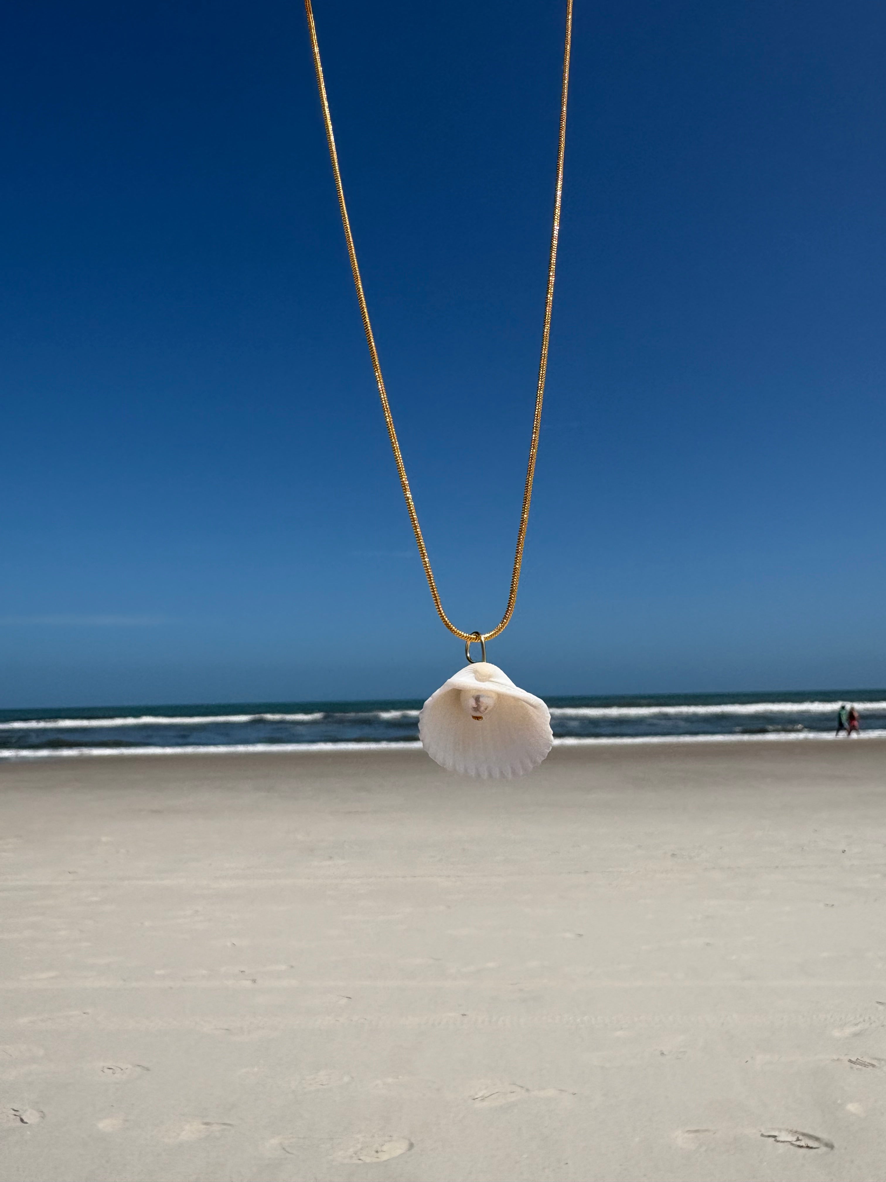 Luna Shell Necklace